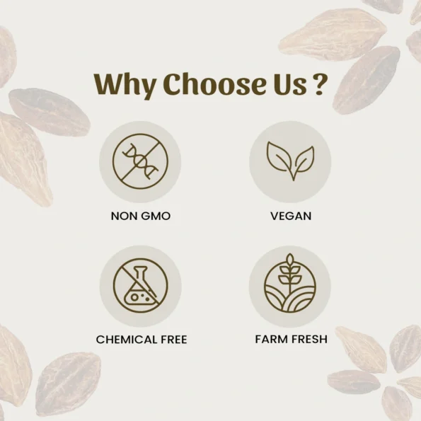 6 harde powder why choose us