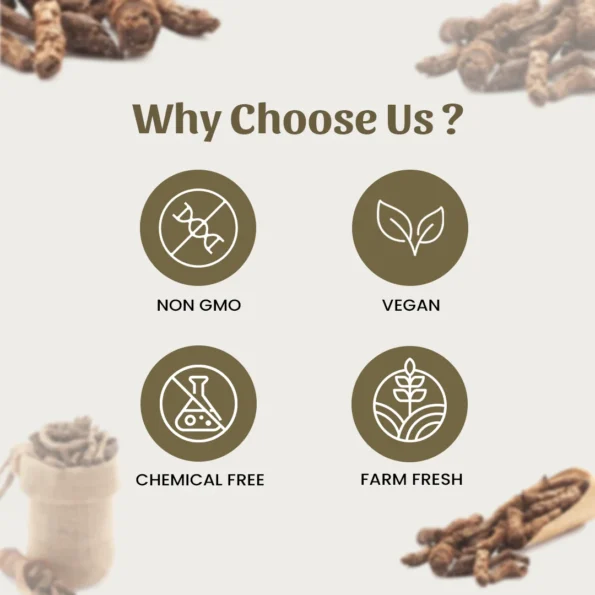 6 kutki powder why choose us
