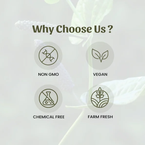 6 long peppwr powder why choose us