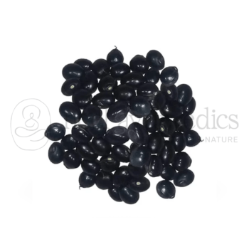 Neel Ayurvedics Chanothi Negro | Guisante De l Rosario | Guri Gunja | Gunja Negro | Abrus Precatorius
