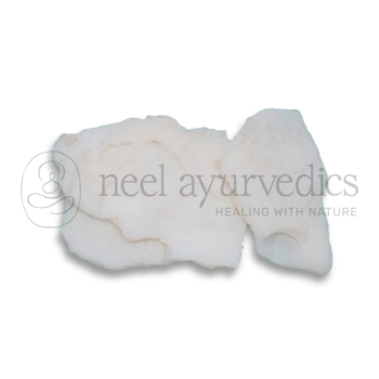 Neel Ayurvedics Jawakhar