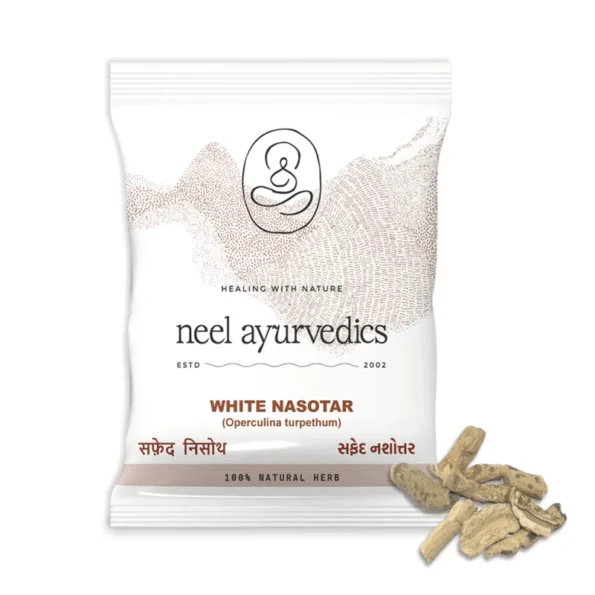 Neel Ayurvedics Churna Nasotar Blanca