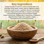 Isabgol Whole Herbs Mockup