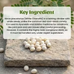 White Chanothi Whole Herbs Mockup