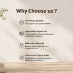 Salam Panja Whole Herb Mockup