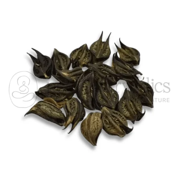 Neel Ayurvedics Semillas De Pitpapda
