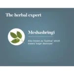 Himalaya Meshashringi Tablet – 60 Tab (2)