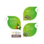 Kerala-Ayurveda-Imugest-Tablet-–-100-Tab.webp
