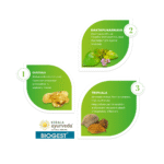 Kerala-Ayurveda-Biogest-–-100-Tab.webp