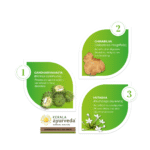 Kerala-Ayurveda-Gandharvahasthadi-Kwath-–-200-ml.webp