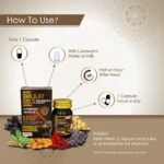 Aimil-Shilajit-Gold-Capsules-–-20-Caps.png