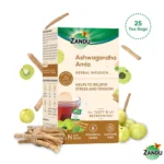 Ashwagandha-Amla-Tea-Bags-Herbal-Infusion.webp