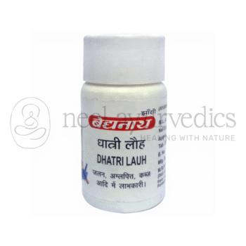 Baidyanath Lauh Dhatri - 40 Tab