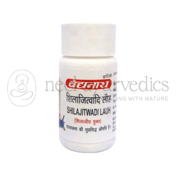 Baidyanath Lauh Shilajitwadi - 40 Tab
