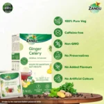Ginger-Celery-Herbal-Infusion-Tea-for-Gut-Health.webp