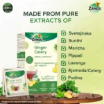 Ginger-Celery-Herbal-Infusion-Tea-for-Gut-Health.webp