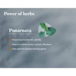 Himalaya Punarnava Tablet – 60 Tab (1)