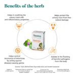 Himalaya Punarnava Tablet – 60 Tab (1)