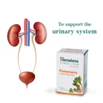 Himalaya Punarnava Tablet – 60 Tab (1)