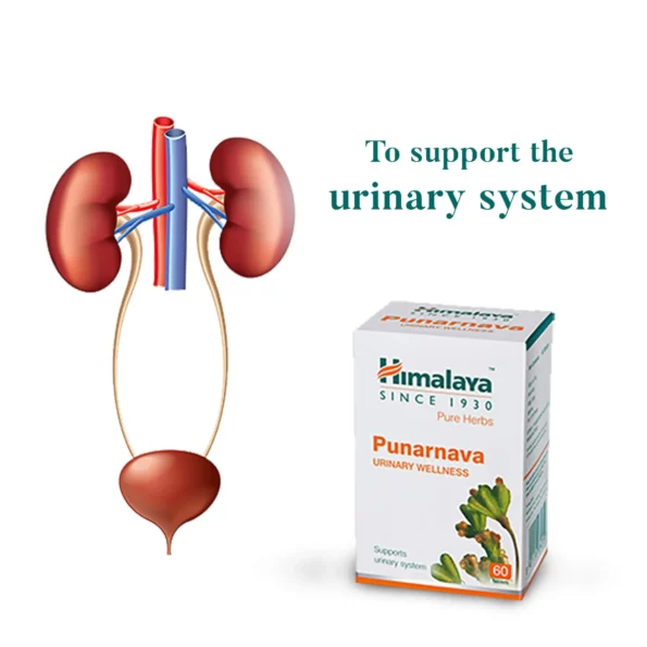 Himalaya Punarnava Tablet – 60 Tab
