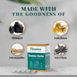Himalaya Tentex forte Tablet – 10 Tab (2)