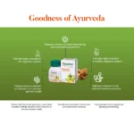 Himalaya Triphala Tablets – 60 Tab (2)