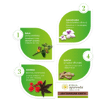 Kerala-Ayurveda-Ashtavargam-Kwath-200-ml.webp