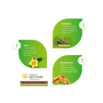 Kerala-Ayurveda-Balaguluchyadi-Kwath-–-200-ml.webp