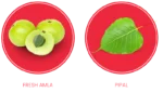 Maharishi-Ayurveda-Authentic-Chyavanprash-–-500-Gm.png