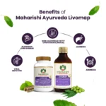 Maharishi-Ayurveda-Livomap-Tablet-–-120-Tab.png