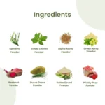 Neel Ayurvedics Suplemento De Vitamina B12