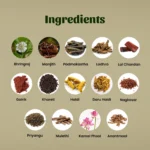 Neel Ayurvedics Aceite Maha Bhringraj
