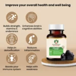 Maharishi-Ayurveda-Shilajeet-Rasayana-Tablet-–-60-Tab.png