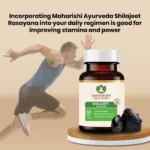 Maharishi-Ayurveda-Shilajeet-Rasayana-Tablet-–-60-Tab.png