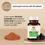 Maharishi-Ayurveda-Shilajeet-Rasayana-Tablet-–-60-Tab.png