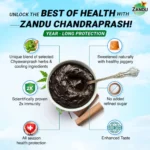 Zandu-Chandraprash.webp
