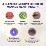 Maharishi-Ayurveda-Cardimap-Tablet-–-60-Tab.png