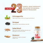 Maharishi-Ayurveda-Vigoroyal-M-Tablet-–-60-Tab.png