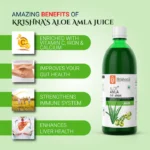 Krishnas-Herbal-and-Ayurveda-Amla-Aloevera-juice.webp