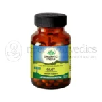 Organic-India-Giloy-–-60-Cap.webp