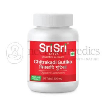 Sri Sri Tattva Tabletas de Chitrakadi Gutika - 60 Tab