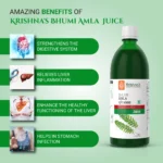 Krishnas-Herbal-And-Ayurveda-Bhumi-Amla-Juice-–-1000-ML.webp