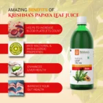 Krishnas-Herbal-And-Ayurveda-Papaya-Leaf-Juice-–-1000-ML.webp