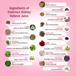 Krishnas-Herbal-And-Ayurveda-Kidney-Relive-Juice-–-1000-ML.webp