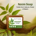 Neel Ayurvedics Neem Soap 1