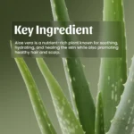 Neel Ayurvedics Aloevera Gel Mockup 1