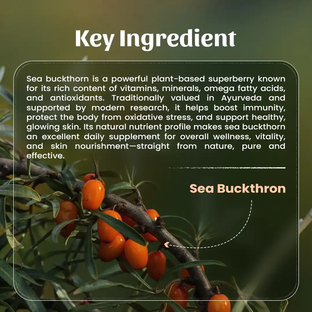 Sea-Buckthron-Powder-Key-Ingredient