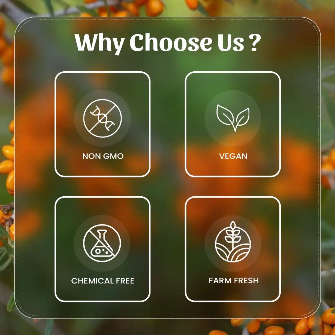 Sea-Buckthron-Powder-why-choose-us